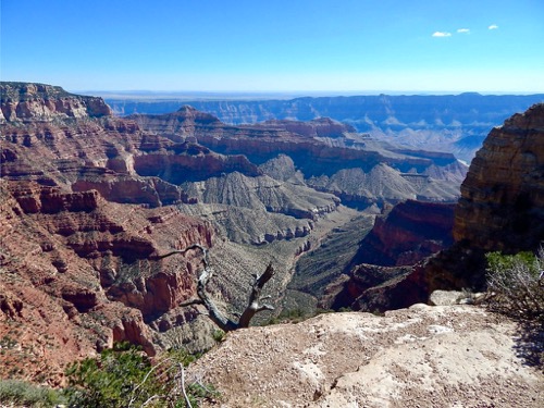 Grand Canyon